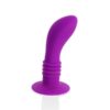 PRETTY LOVE - BOOTY PASSION PLUG CON VIBRACIÓN 10V