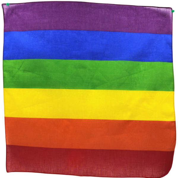 PRIDE - PAÑUELO LGBT 50 X 50